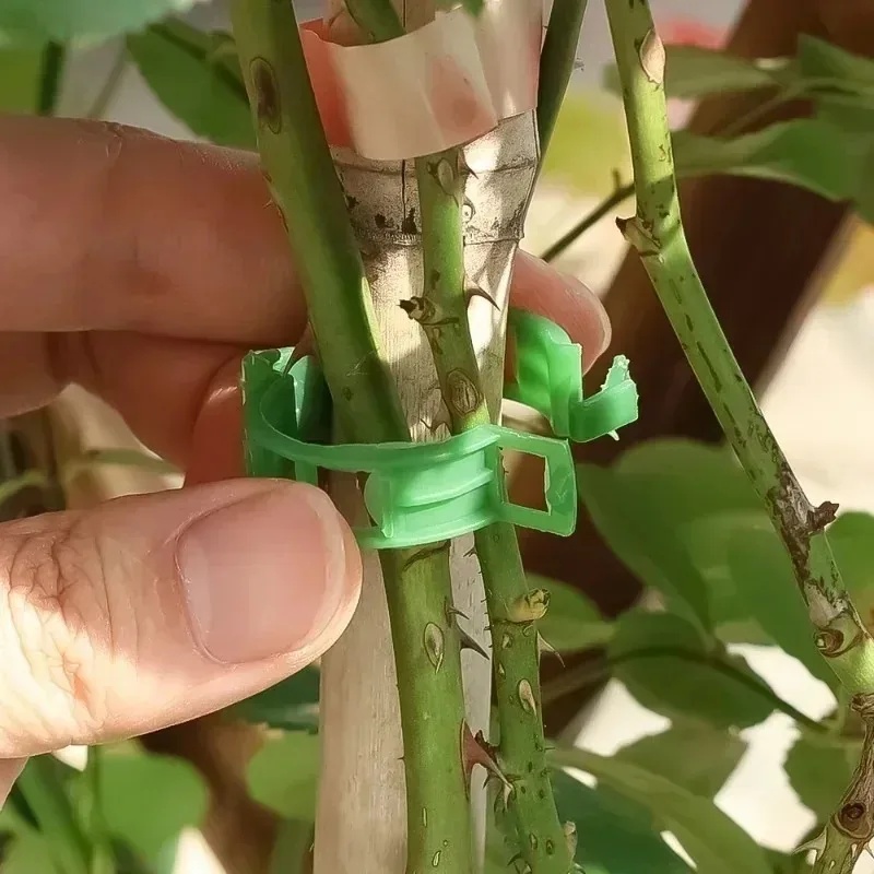 Gardening Tools For Vines - 50-100 peças de clipes de plástico
