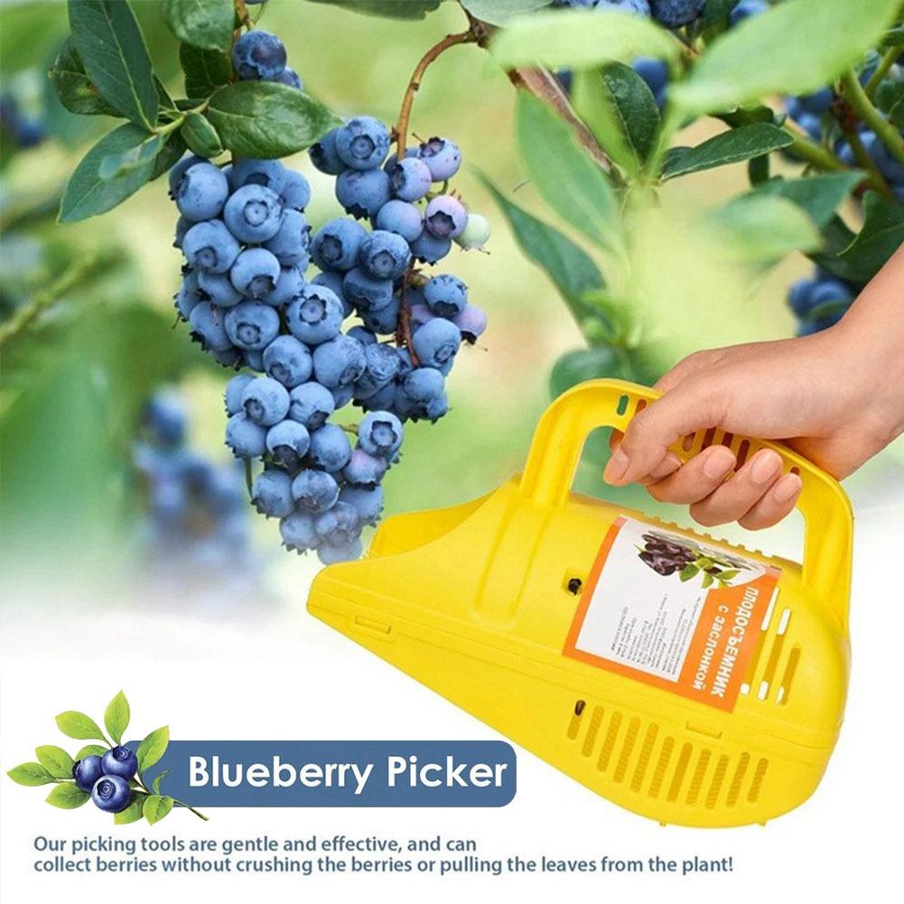 Gardening Tools You Must Have - Ferramenta de Colheita de Mirtilos com