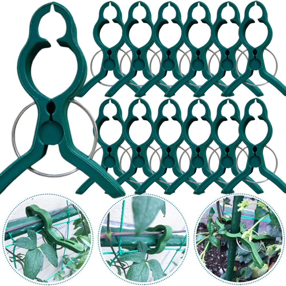Gardening Tools For Vines - 50/10 PEÇAS Clipes de Suporte para
