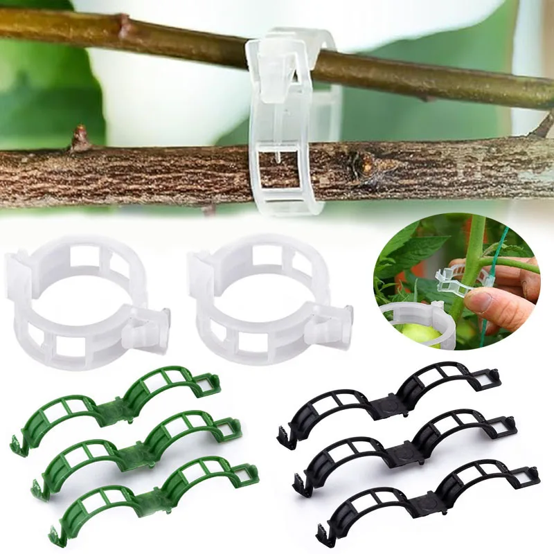 Gardening Tools For Vines - 100 pçs clipes de fixação de