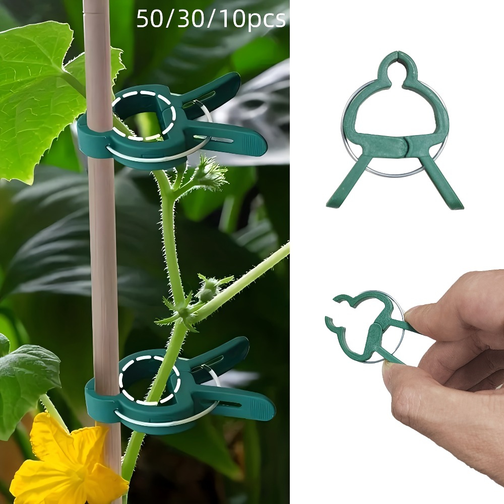 Gardening Tools For Vines - 10/30/50 peças de Clipes Ajustáveis para