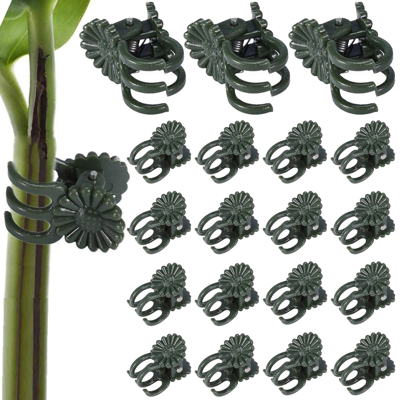 Gardening Tools For Vines - Plant Clips para Enxerto, Vine Clamp,