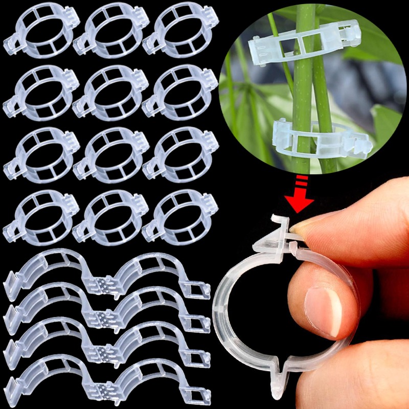 Gardening Tools For Vines - 300/50 Peças Clipes de Suporte para