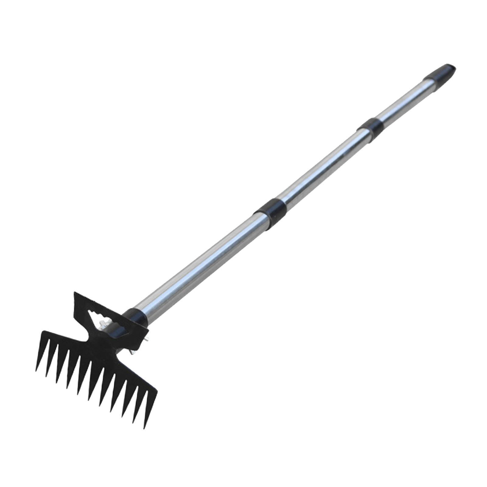 Removedor de ervas daninhas, r - Gardening Tools To Remove Grass avaliação e preço