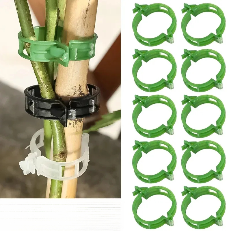 50-100 peças de clipes de plás - Gardening Tools For Vines avaliação e preço