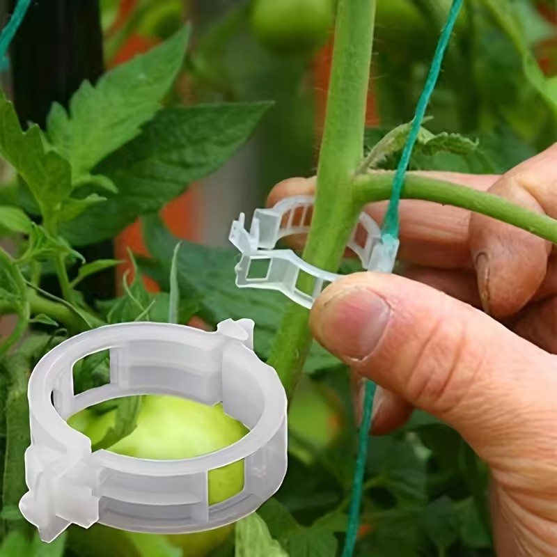 20 Peças de Clipes de Plástico - Gardening Tools For Vines avaliação e preço