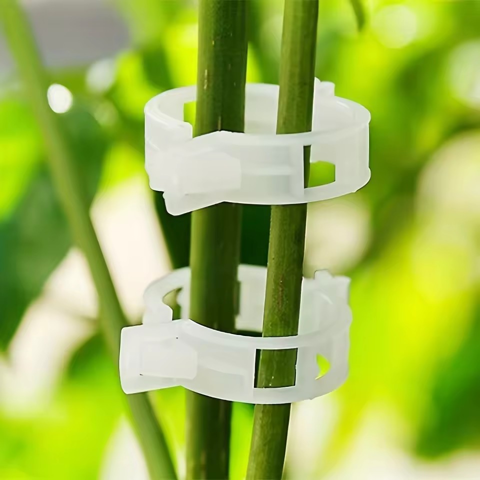 20 Peças de Clipes de Plástico - Gardening Tools For Vines avaliação e preço