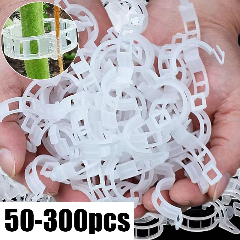 50-300 Peças de Clipes de Supo - Gardening Tools For Vines avaliação e preço