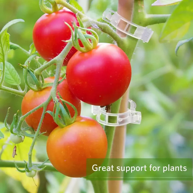50-300 Peças de Clipes de Supo - Gardening Tools For Vines avaliação e preço