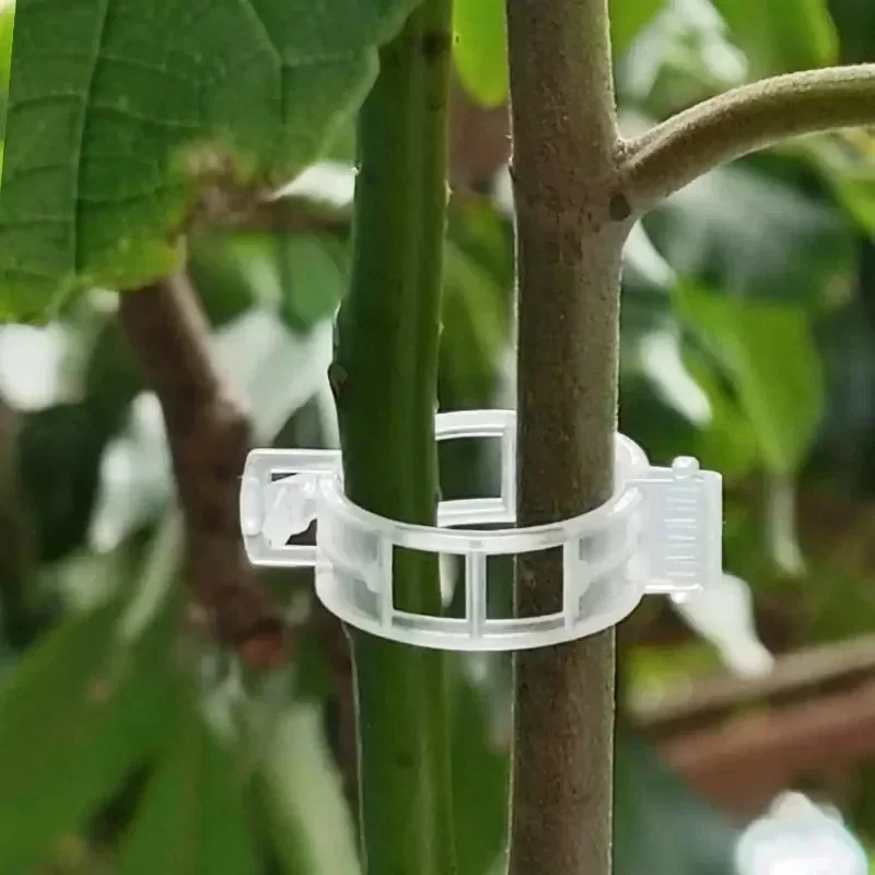 50-300 Peças de Clipes de Supo - Gardening Tools For Vines avaliação e preço