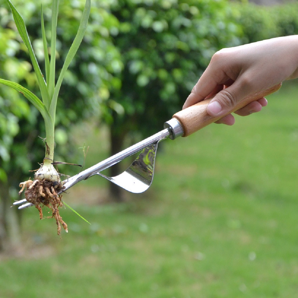 Removedor Manual de Ervas Dani - Gardening Tools To Remove Grass avaliação e preço