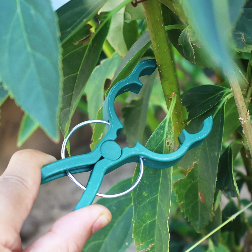 50/10 PEÇAS Clipes de Suporte  - Gardening Tools For Vines avaliação e preço