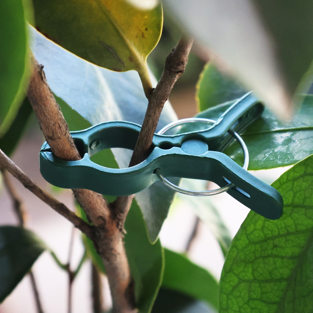 50/10 PEÇAS Clipes de Suporte  - Gardening Tools For Vines avaliação e preço