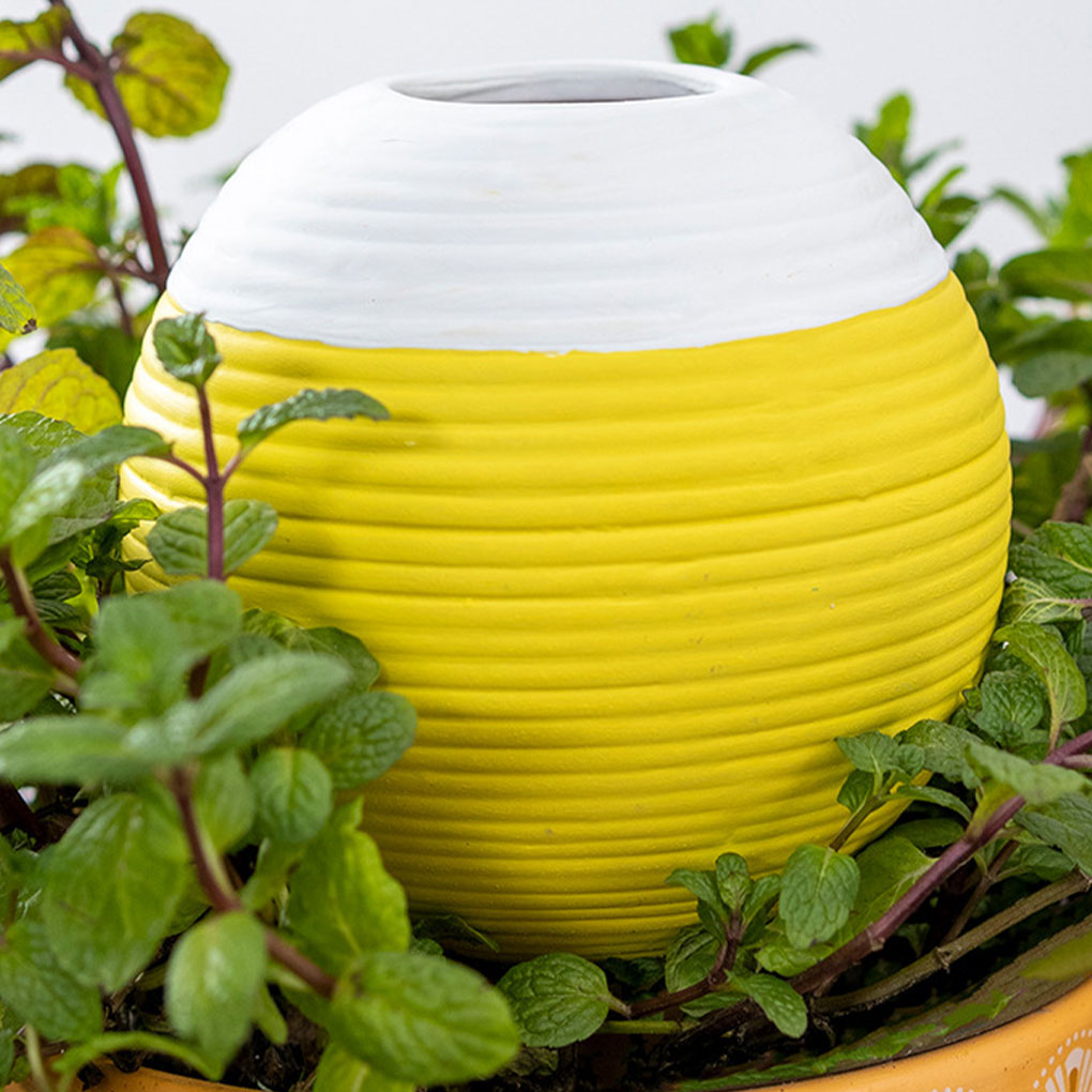 Ferramenta Automática de Irrig - Gardening Tools You Must Have avaliação e preço
