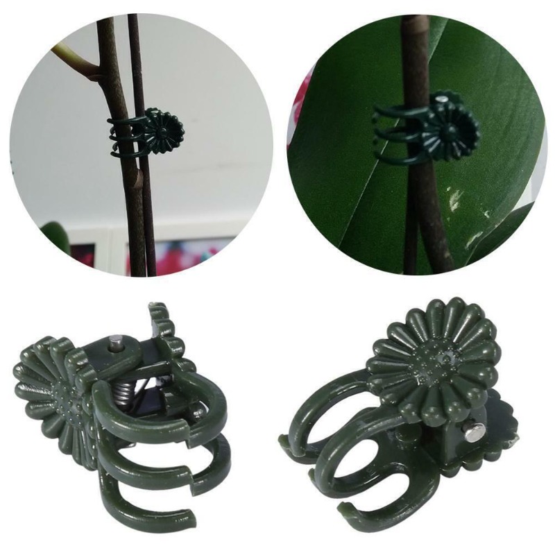 50 Peças de Clipes para Planta - Gardening Tools For Vines avaliação e preço