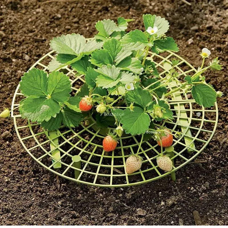 Suporte para Plantas de Morang - Gardening Tools For Vines avaliação e preço