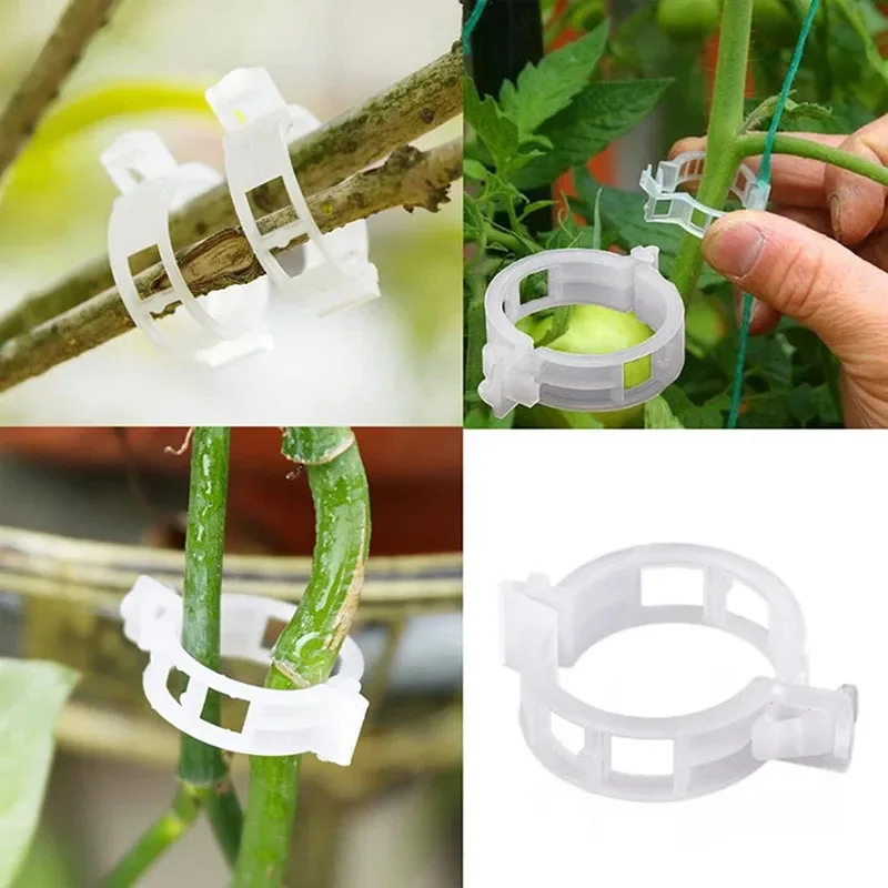 100 pçs clipes de fixação de p - Gardening Tools For Vines avaliação e preço