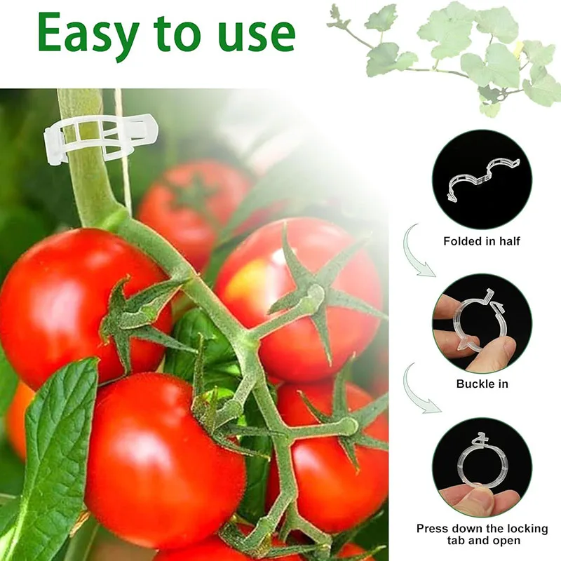100 pçs clipes de fixação de p - Gardening Tools For Vines avaliação e preço