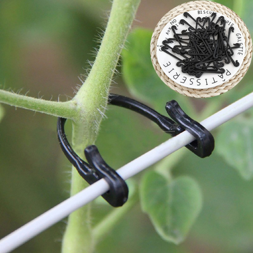 50-500 Peças de Clipes de Fixa - Gardening Tools For Vines avaliação e preço
