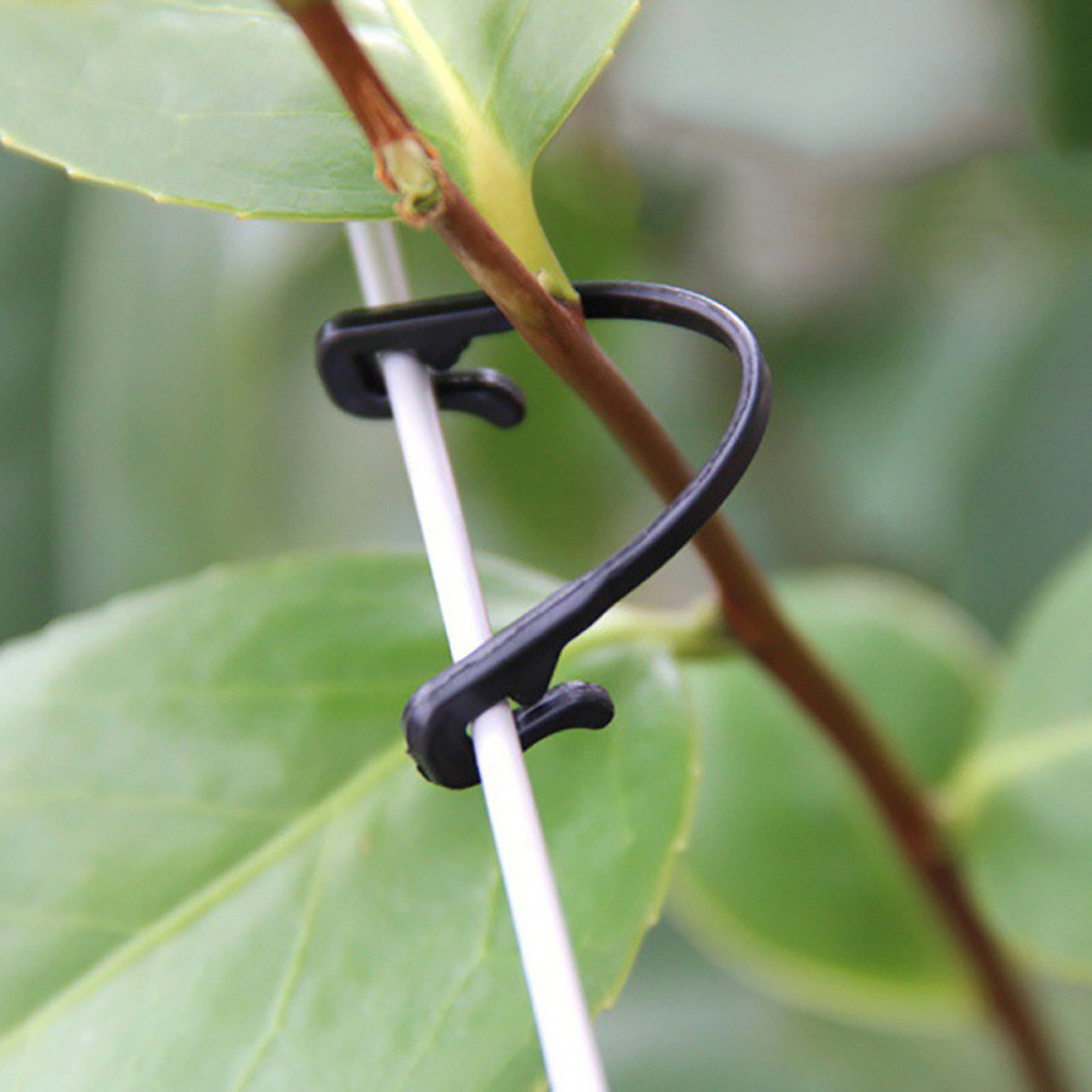 50-500 Peças de Clipes de Fixa - Gardening Tools For Vines avaliação e preço