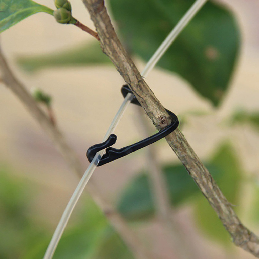 50-500 Peças de Clipes de Fixa - Gardening Tools For Vines avaliação e preço
