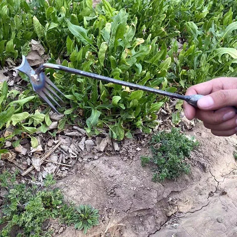 Capinador Manual de Jardim par - Gardening Tools To Remove Grass avaliação e preço