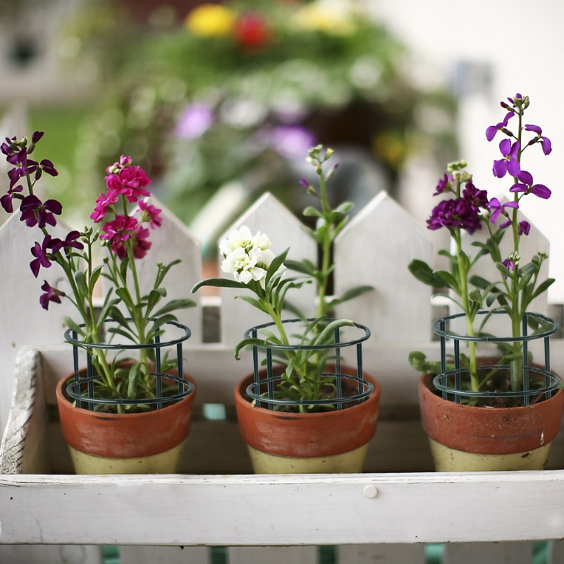 Suporte de Plástico para Plant - Gardening Tools For Vines avaliação e preço