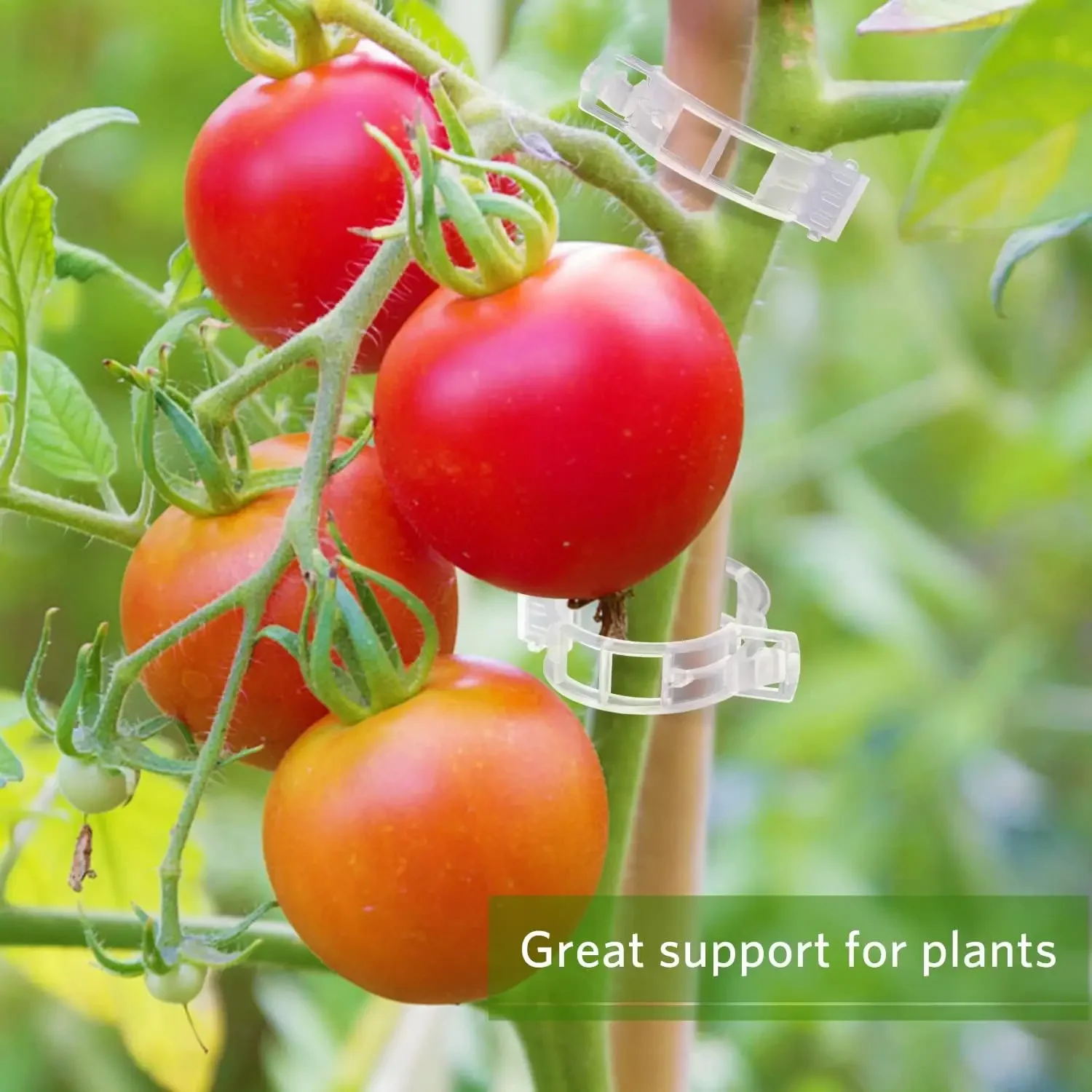 Clipes de Suporte para Plantas - Gardening Tools For Vines avaliação e preço