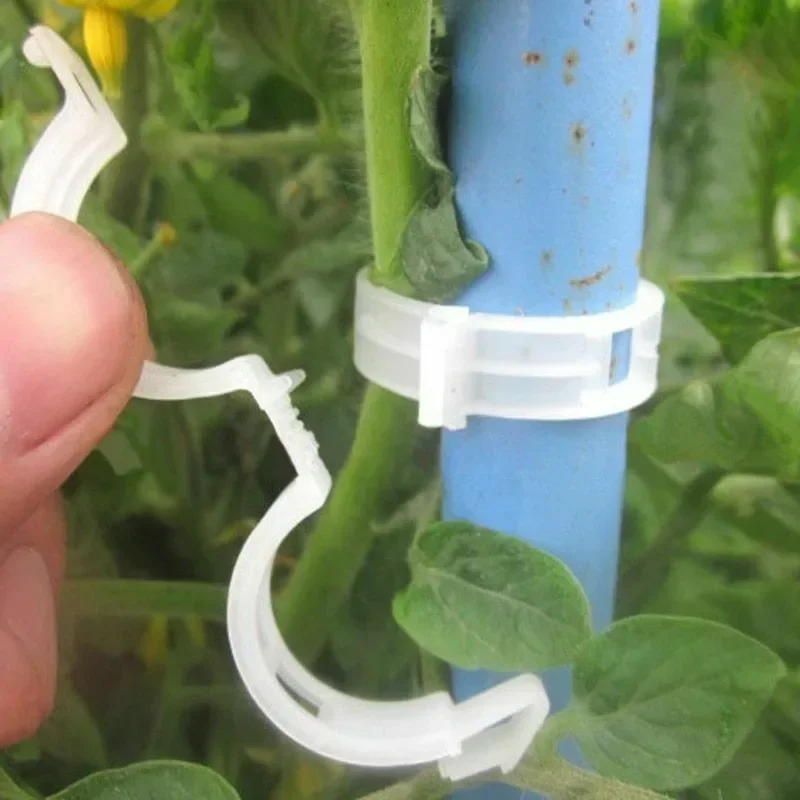 Clipes de Suporte para Plantas - Gardening Tools For Vines avaliação e preço