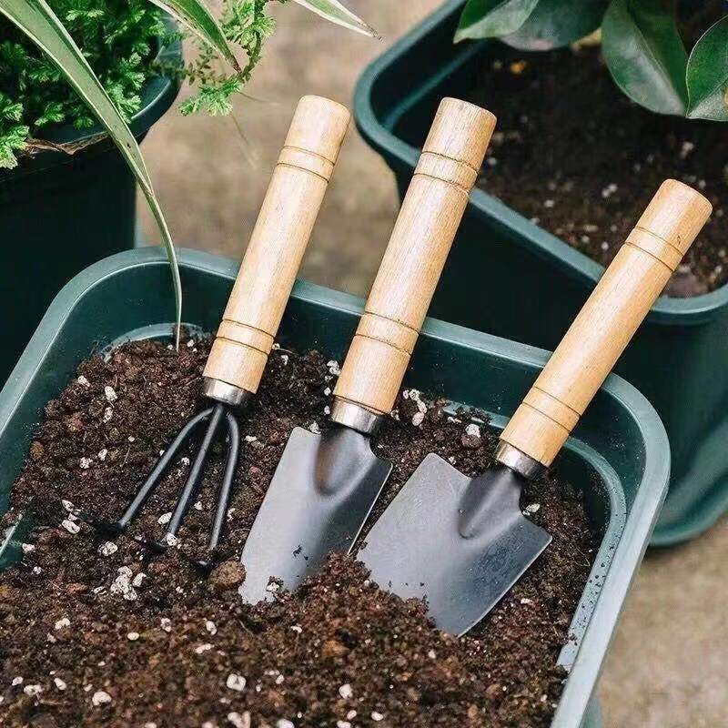 3pc/1 conjunto mini conjunto d - Gardening Tools Gifts avaliação e preço