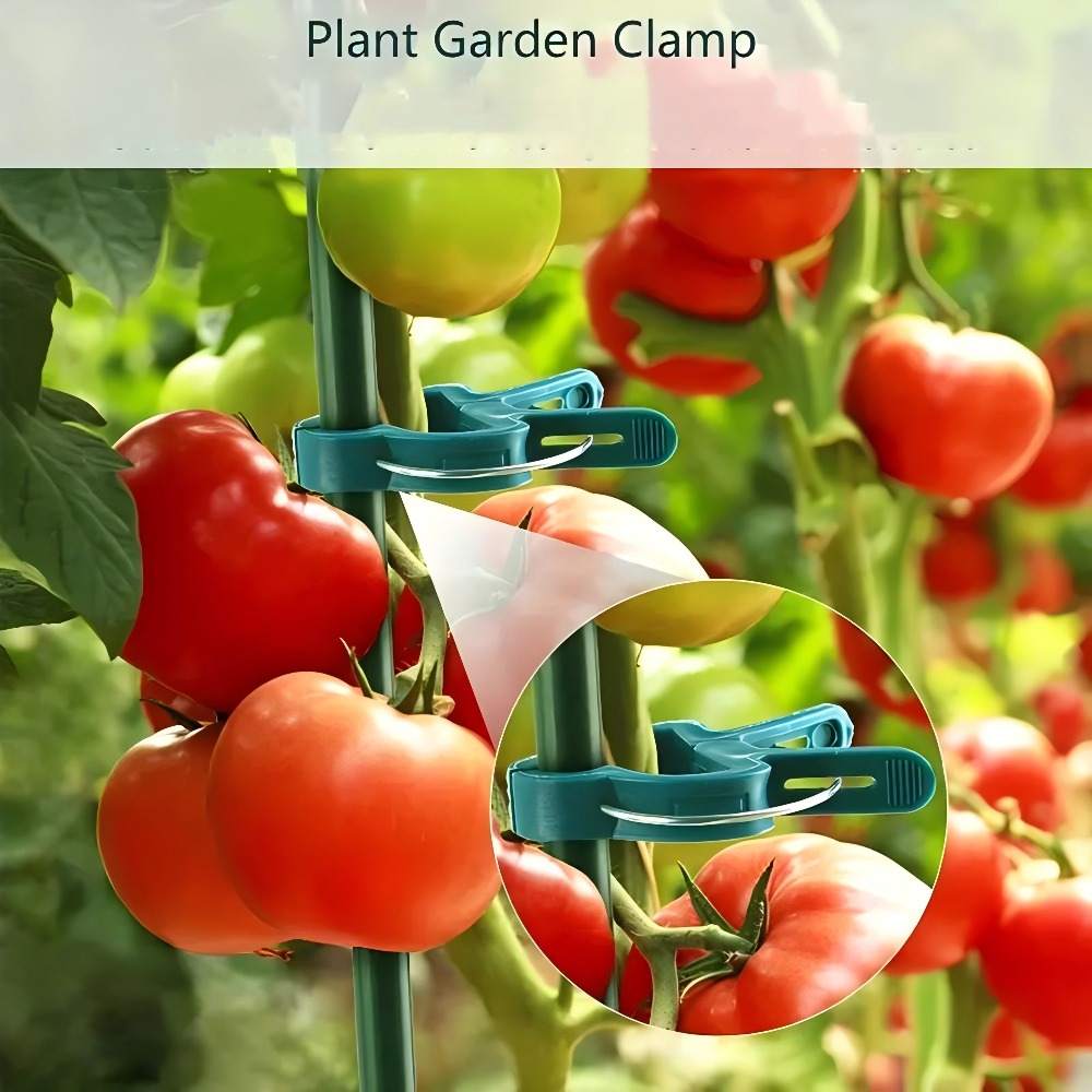 10/30/50 peças de Clipes Ajust - Gardening Tools For Vines avaliação e preço
