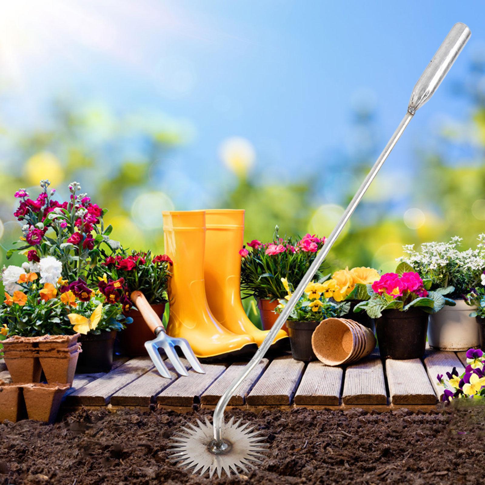 Ferramenta de Remoção de Ervas - Gardening Tools To Remove Grass avaliação e preço