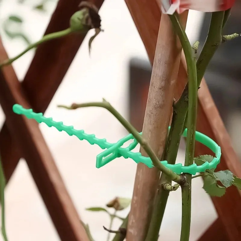 Abraçadeiras de Nylon Reutiliz - Gardening Tools For Vines avaliação e preço
