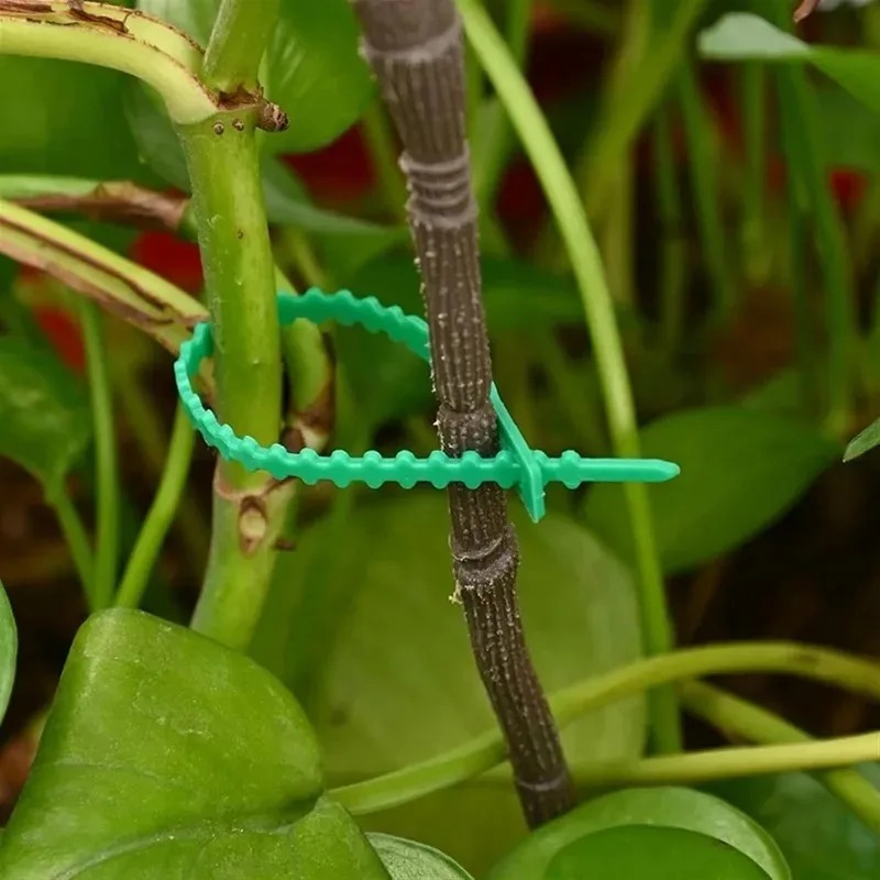 Abraçadeiras de Nylon Reutiliz - Gardening Tools For Vines avaliação e preço