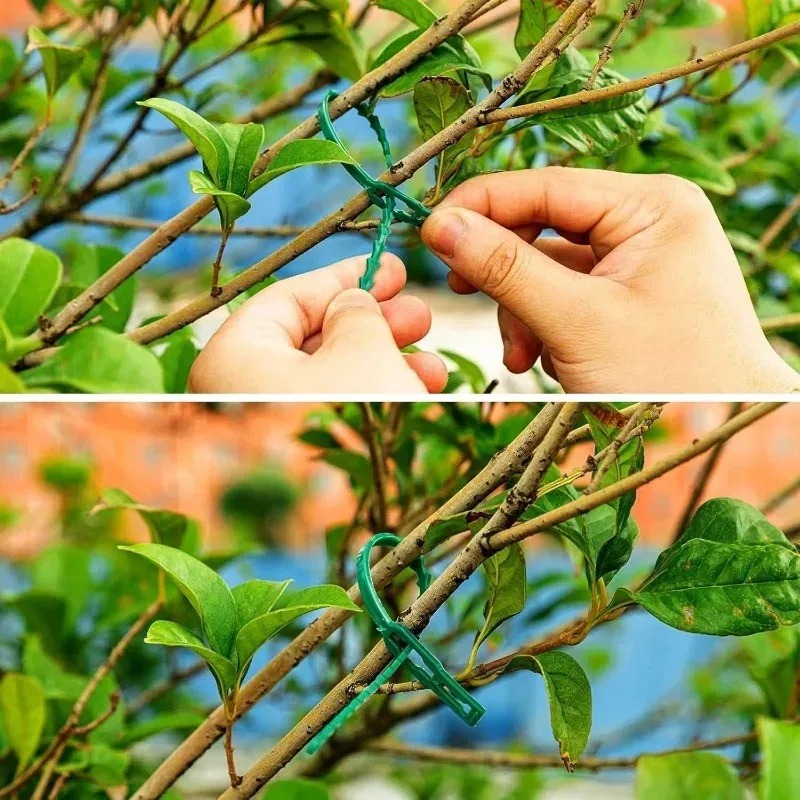 Abraçadeiras de Nylon Reutiliz - Gardening Tools For Vines avaliação e preço