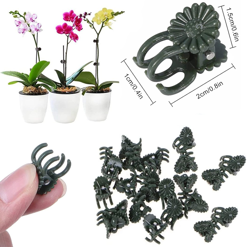Plant Clips para Enxerto, Vine - Gardening Tools For Vines avaliação e preço