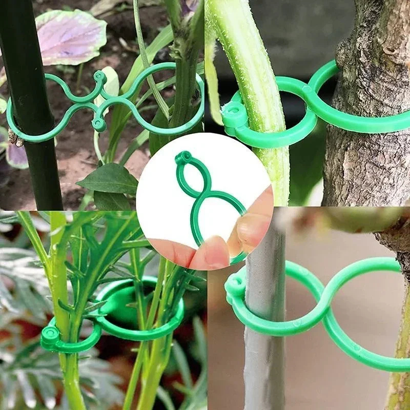Clipes de Plástico para Amarra - Gardening Tools For Vines avaliação e preço