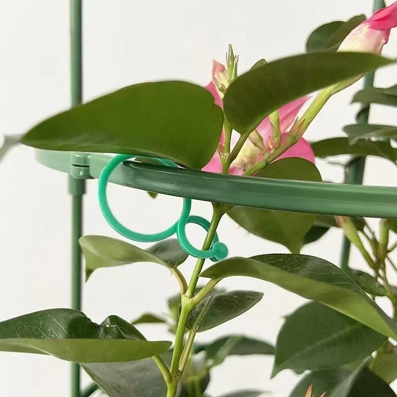 Clipes de Plástico para Amarra - Gardening Tools For Vines avaliação e preço