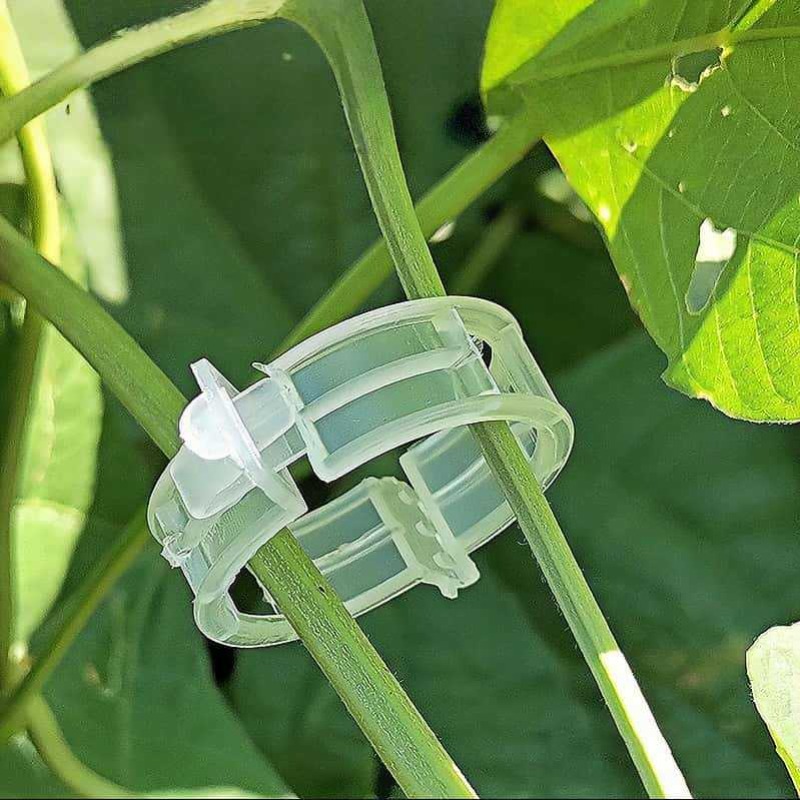 300/50 Peças Clipes de Suporte - Gardening Tools For Vines avaliação e preço