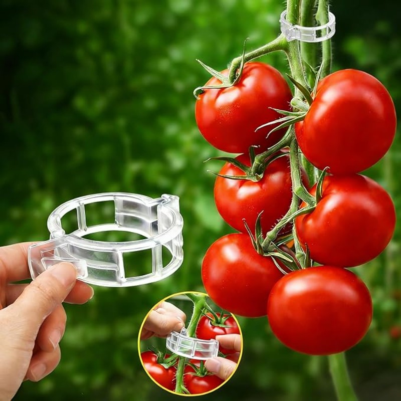 300/50 Peças Clipes de Suporte - Gardening Tools For Vines avaliação e preço